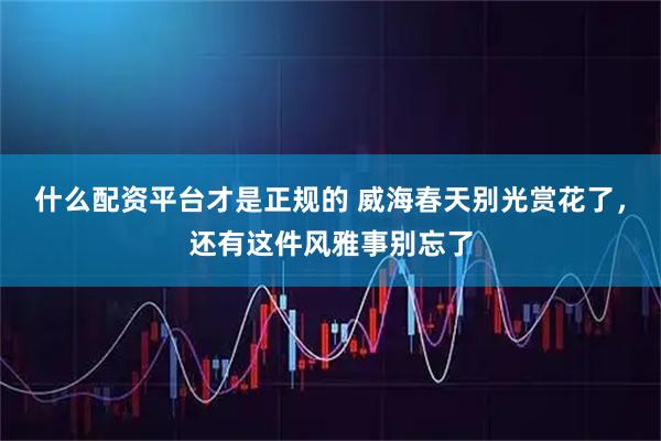 什么配资平台才是正规的 威海春天别光赏花了，还有这件风雅事别忘了